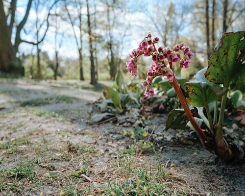 Seseorang meregangkan badan di kursi kantor dengan latar belakang jendela